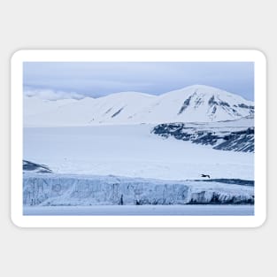 Tunabreen Glacier from Tempelfjorden on Svalbard Sticker